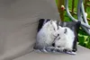 MuchoWow® Outdoor Kissen - Wölfe - Schnee - Familie - 50x30 Produktbild-Vorschau 2