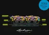 LECHUZA Bac à plantes BALCONERA Cottage 80 noir graphite | Voir les images du produit 15