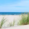 Küchenrückwand Nordsee 60 x 300 cm, Spritzschutz Küche Produktbild-Vorschau 3