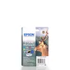 Epson Stag Multipack 3 Farben T1306 DURABrite Ultra Ink, Produktbild-Vorschau 9