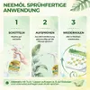 Neemöl Spray zur natürlichen Pflanzenpflege, 750 ml – Produktbild-Vorschau 4