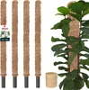 KOTARBAU® 4er Set Moosstab für Monstera ⌀ 3,2x80cm Produktbild-Vorschau 1