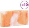 vidaXL Pietre dirosa, 10 pezzi, 20 x 2,5 x 10 cm,di roccia Anteprima dell’immagine prodotto 3
