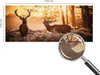 Samolepicí fototapeta – 250 x 104 cm – tapeta – nástěnná Náhled obrázku produktu 4