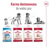 ROYAL CANIN SHN Medium Adult - droogvoer voor honden - 15 Productafbeelding-voorbeeld 12