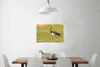 MuchoWow® Poster Vogel - Gras - Natur - Tiere - Kiebitz Produktbild-Vorschau 2