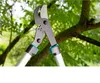 Gardena, troncarami 750B, EnergyCut Anteprima dell’immagine prodotto 19