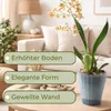 Orchideentopf Transparent Orchideen Übertopf Orchideentopf Produktbild-Vorschau 3