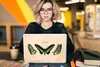 MuchoWow® Laptop Aufkleber Sticker Cover Schmetterling - Produktbild-Vorschau 5