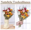 Bouquet de fleurs séchées : camomille et immortelle Voir les images du produit 4