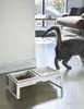 A cat walks past a white elevated feeding station with two bowls, one filled with kibble and the other with water, in a modern living room. Anteprima dell’immagine prodotto