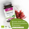 Gse Osteomin  Calcium Vitamin D3+K2 Tabletten 120 St Produktbild-Vorschau 2