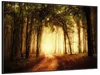 Wallario Wandbild Sonnenuntergang auf dem Waldweg, Größe: Produktbild-Vorschau 2