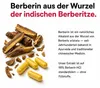 Berberin Kapseln Hochdosiert 500mg – Berberine HCl 98% aus Produktbild-Vorschau 2
