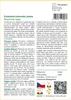 SAFLAX - Kubánská královská palma - Roystonia regia - 8 Náhled obrázku produktu 3