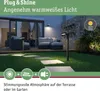 Paulmann Plug & Shine LED Pollerleuchte Ito Einzelleuchte Produktbild-Vorschau 5