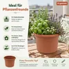 Pflanztopf Fiona Terrakotta Ø 25cm - Frostsicher & Produktbild-Vorschau 8