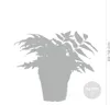 Bloomique - 6er Set - Farne Winterhart für Garten - Produktbild-Vorschau 3