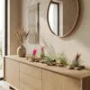 Bloomique - Mix di 10 - Tillandsia - Tillandsia - Vere Anteprima dell’immagine prodotto 4