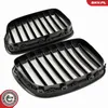 ESEN SKV 66SKV177 Kühlergrill Frontgrill für BMW 5 GT (F07) Produktbild-Vorschau 4