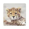 MuchoWow® Mauspad Mousepad Gepard - Jung - Porträt 20x20 cm Produktbild-Vorschau 1