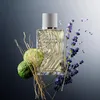 A bottle of Rochas Eau de Rochas Homme Eau de Toilette is surrounded by natural elements like limes and lavender. Produktbild-Vorschau
