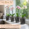 4er Set Orchideentopf Rauchfarbig Orchideen Übertopf Produktbild-Vorschau 3