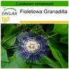 SAFLAX - Granadilla - 40 Nasiona - Z podłożem uprawowym Podgląd zdjęcia produktu 9