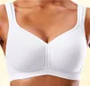 PETITE FLEUR Soft-BH weiß+schwarz Größe 100 Cup F Produktbild-Vorschau 2