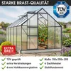 BRAST Gewächshaus Aluminium mit Fundament | 310x250x205cm | Produktbild-Vorschau 8