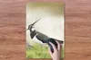 MuchoWow® Mauspad Mousepad Vogel - Gras - Tiere - Natur - Produktbild-Vorschau 3