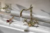 A close-up shot of a vintage-style bronze faucet with water running into a white sink. A dried leaf and a red flower are placed on the sink. Anteprima dell’immagine prodotto