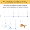 PawHut Hunde Agility Training Slalomstangen für Haustiere Produktbild-Vorschau 4