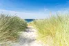 A sandy path leads through tall dune grass towards the ocean under a clear blue sky. Náhled obrázku produktu