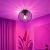 A room with pink and purple lighting, featuring a black wire cage ceiling light with a visible bulb, a large plant, and curtains. Podgląd zdjęcia produktu
