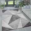 A modern living room with a geometric rug in shades of gray and white, a white sofa, and plants.