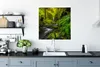 MuchoWow® Poster Schönes Bild vom Dschungel 75x75 cm - Wand Produktbild-Vorschau 3