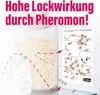inseko 8x Lebensmittelmotten Falle I insektizidfrei & Produktbild-Vorschau 4