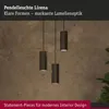 Paulmann Pendelleuchte Lirena Produktbild-Vorschau 5