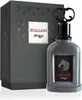 Zimaya Stallion Eau De Parfum 100 ml (man) Produktbild-Vorschau 4