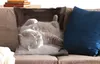 MuchoWow® Zierkissen Sofakissen Wohnzimmer Dekokissen 60x60 Produktbild-Vorschau 2
