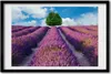 Bild 60x40 MDF-Rahmen, Wandkunst Lavendelfeld Produktbild-Vorschau 1