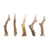 RF-D Capriolo M 0,5kg (6-17pz) 13-18cm Corna naturali dure, Anteprima dell’immagine prodotto 12