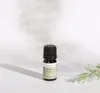 Rosmarinöl, ätherisches Öl, 100% Rein, BIO, natürlich, 10 Produktbild-Vorschau 8