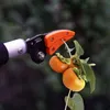Langstielige Scheren, Teleskopscheren, Gartenscheren und Produktbild-Vorschau 4