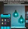 Philips Hue Whiteca 6.5w A60 E27 2p Eur (929002489602) Produktbild-Vorschau 12