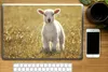 MuchoWow® Laptop Aufkleber Sticker Cover Lamm - Gras - Produktbild-Vorschau 2