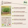 Samenliebe  Zuckerebse Samen | Norli - fadenlos & kompakt & Produktbild-Vorschau 3