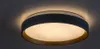 Rabalux 71185 Deckenleuchten Liatris2 LED 24 Metall Produktbild-Vorschau 3