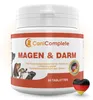 CaniComplete Magen & Darm für Hunde – Produktbild 1 Voir les images du produit